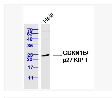 搜狗截图23年04月25日1833_153.png