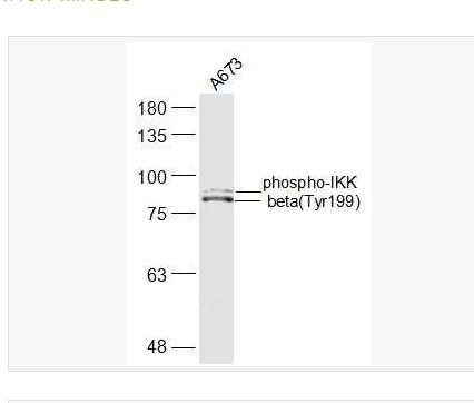 搜狗截图23年04月27日1755_322.png