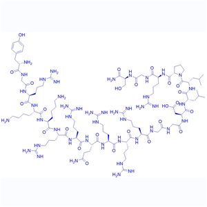 功能性细胞穿膜肽P110/穿膜肽