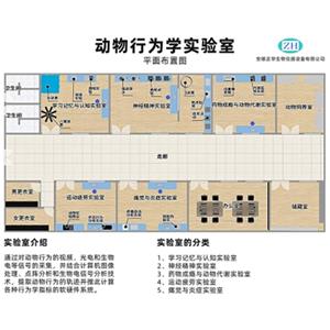 动物行为学视频分析系统；动物行为学实验室；动物行为学分析软件