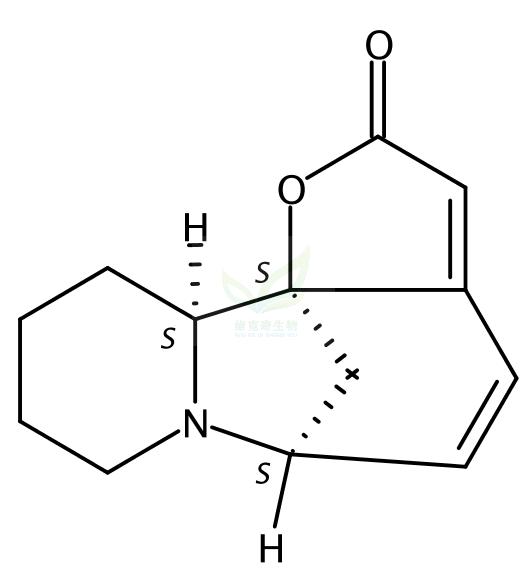 别一叶萩碱