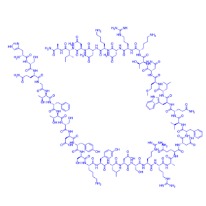 胰高血糖素样肽 1 (GLP-1) 受体激动剂多肽/Oxyntomodulin