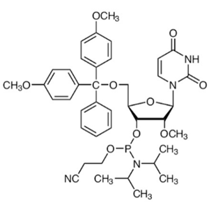 2'-OME-U-CE-亚磷酰胺