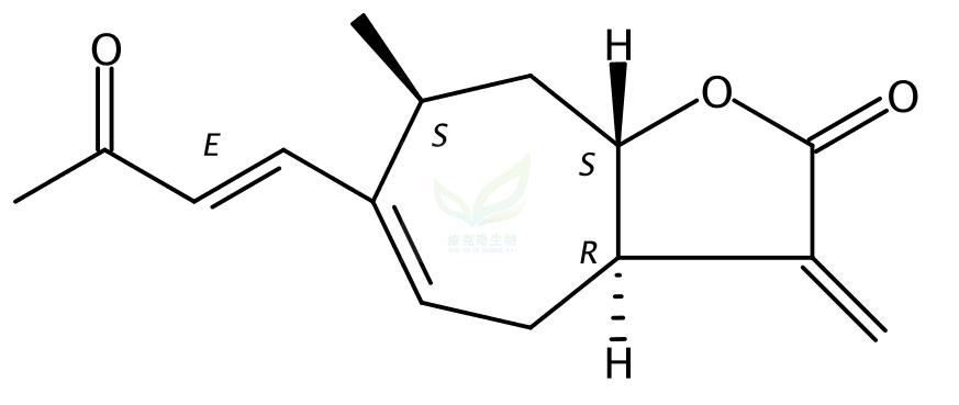 苍耳亭