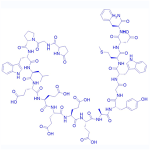 胃膜素-1/10047-33-3/Gastrin-1, human/Little gastrin I/gastrin I （human）