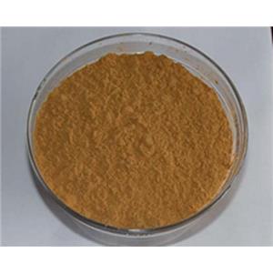 铁皮石斛提取物10:1，多糖30%50% Dendrobium candidum extract