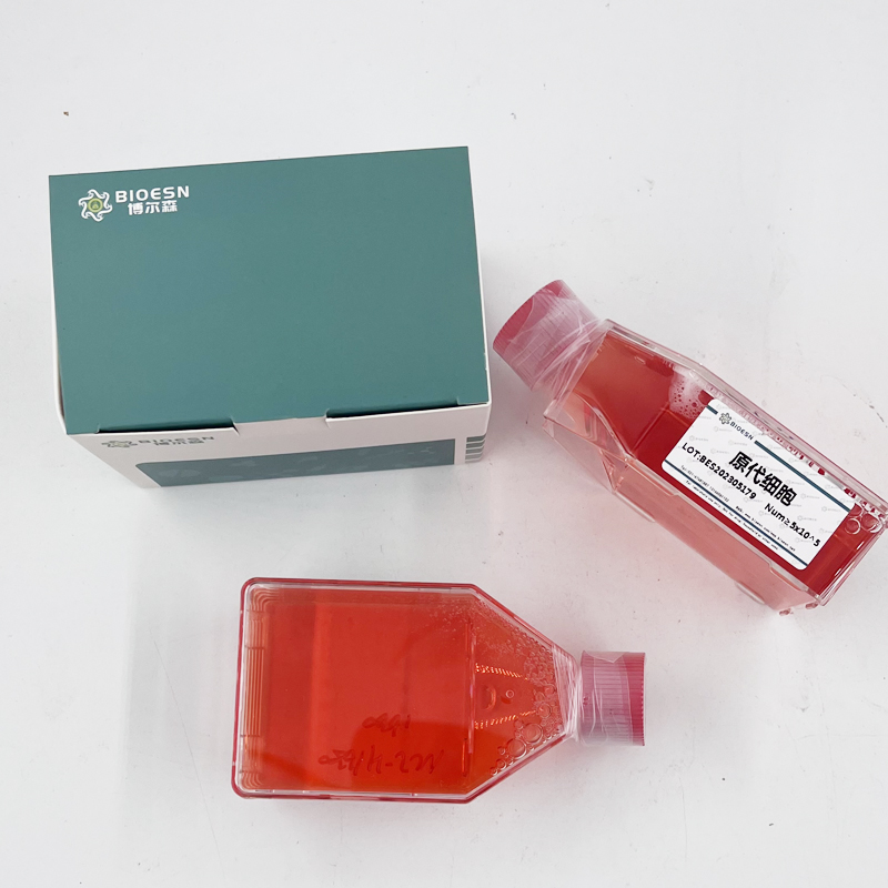 Human多配体蛋白聚糖4(SDC4) ELISA Kit