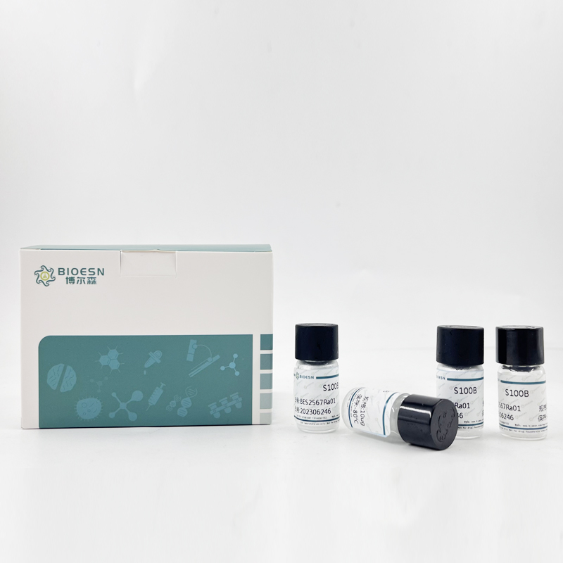 大鼠纤溶酶原启动物抑制因子1(PAI1) ELISA Kit