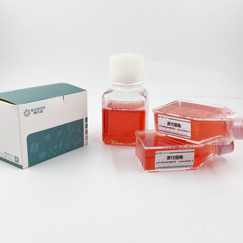 Human微管关联蛋白RP/EB家族成员1(MAPRE1) ELISA Kit