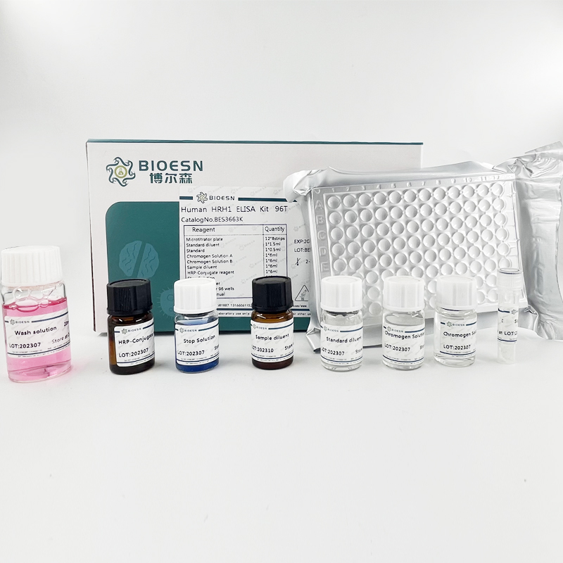 大鼠甲状旁腺激素相关蛋白(PTHrP) ELISA Kit