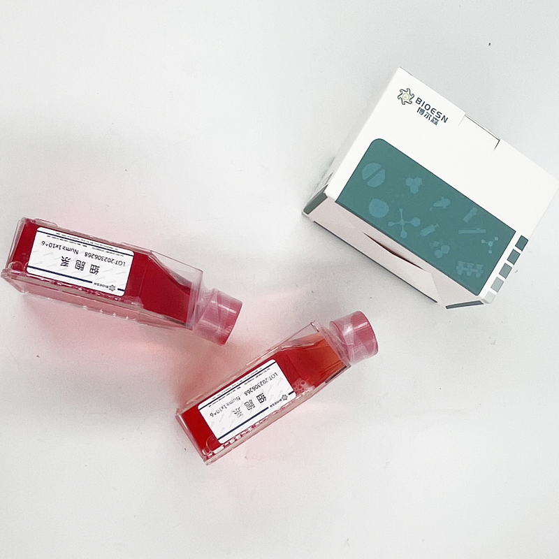 小鼠抗缪勒管激素(AMH) ELISA Kit