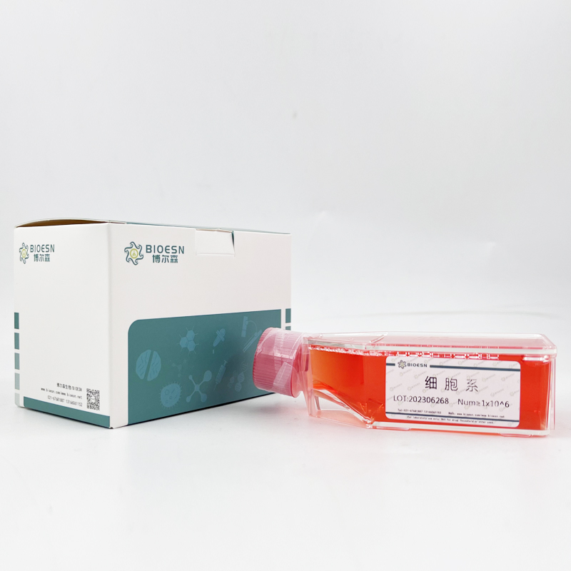 Human胞裂蛋白3(SEPT3) ELISA Kit