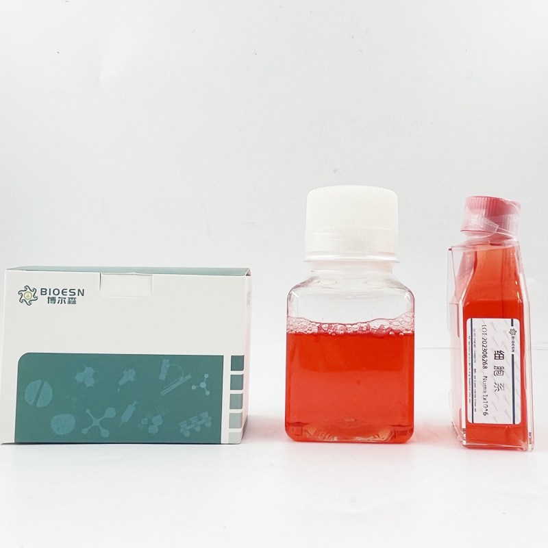 大鼠细胞色素P450氧化还原酶(CPR) ELISA Kit