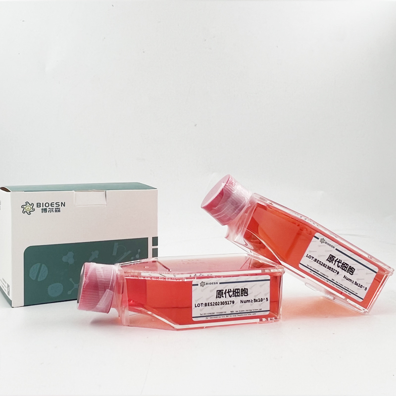 小鼠血管生成素样蛋白7(ANGPTL7) ELISA Kit