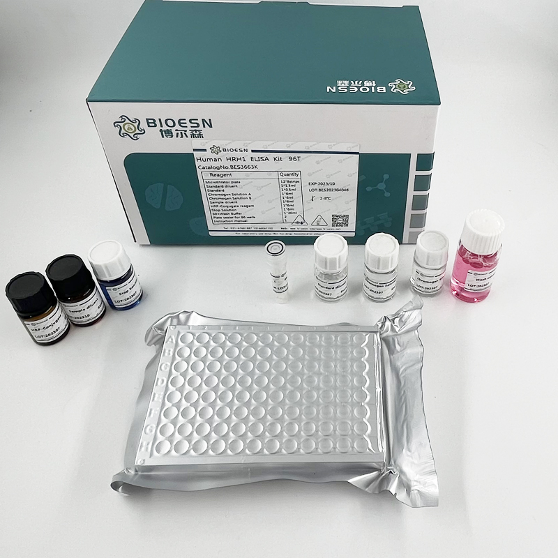 猪碱性成纤维细胞生长因子(FGF2) ELISA Kit