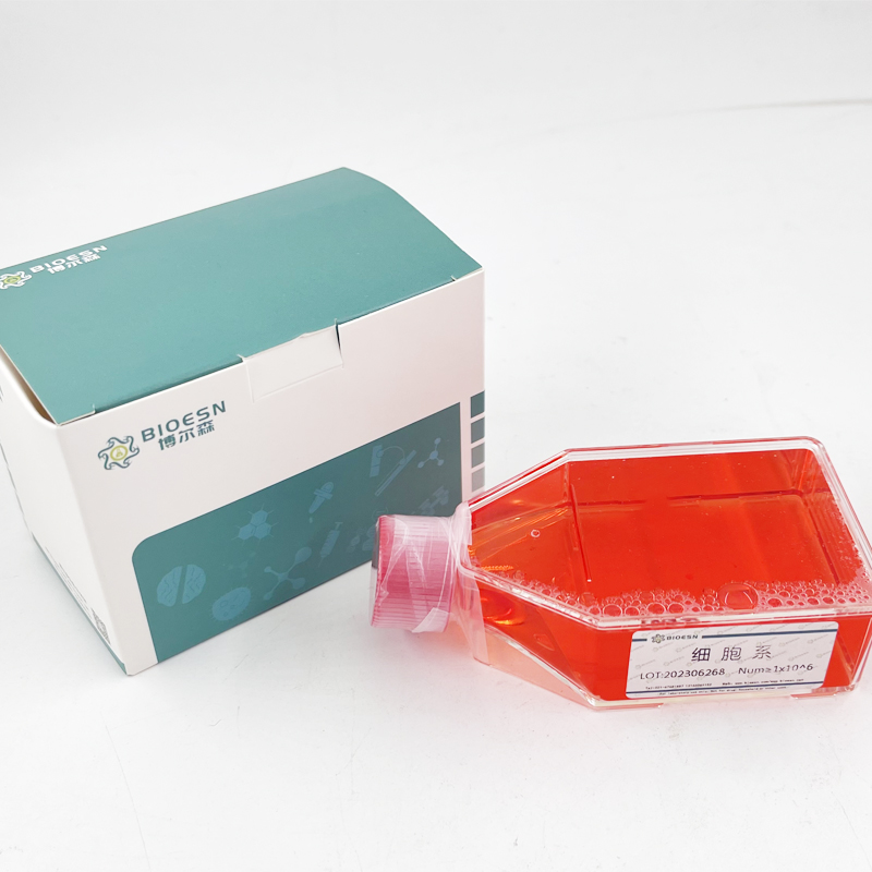 Human乙酰胆碱酯酶(AchE) ELISA Kit