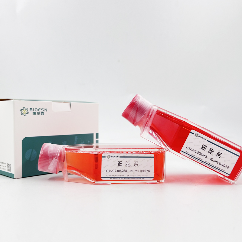 猪红细胞生成素(EPO) ELISA Kit