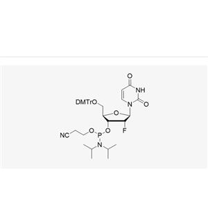 DMT-2'-F-dU-CE-Phosphoramidite