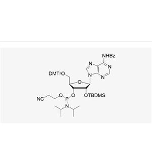 DMT-2'-O-TBDMS-A(Bz)-CE