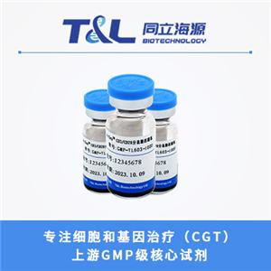 ActSep?CD3/CD28分选激活磁珠