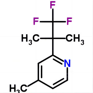 4-甲基-2-(1,1,1-三氟-2-二甲基-2-乙基)吡啶