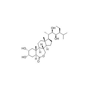 28-高芸苔素内酯 74174-44-0