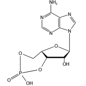 环磷腺苷 60-92-4
