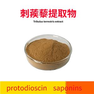 刺蒺藜提取物 刺蒺藜皂甙 40% 植物提取 原料 西安萃源生物