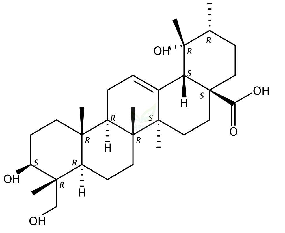 铁冬青酸