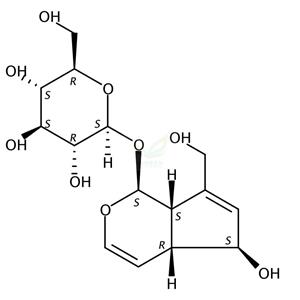 桃叶珊瑚苷