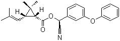 富右旋反式苯氰菊酯 39515-40-7