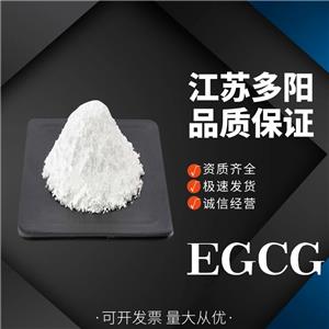 EGCG，儿茶素，营养强化剂，食品级，多规格