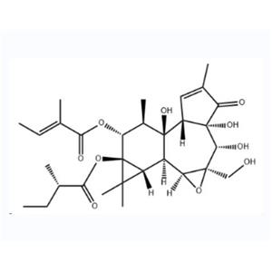 抗肿瘤活性分子