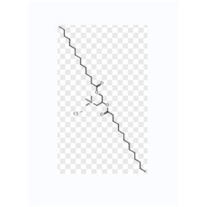 免疫佐剂脂质体DMTAP