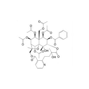 CNAS17034实验室新品：雷公藤定碱