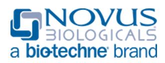 Novus Biologicals.jpg