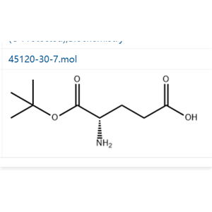 1-叔丁基 L-谷氨酸