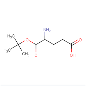 1-叔丁基 L-谷氨酸