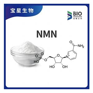 β-烟酰胺单核苷酸 NMN 99%白色精细粉末1094-61-7宝星生物