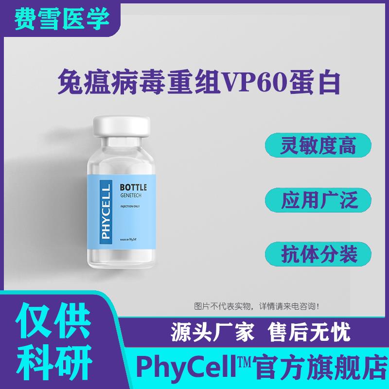 兔瘟病毒重组VP60蛋白.jpg