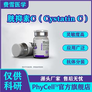 胱抑素C(Cystatin C，Cys C)