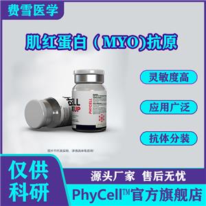 肌红蛋白（Myoglobin，MYO)