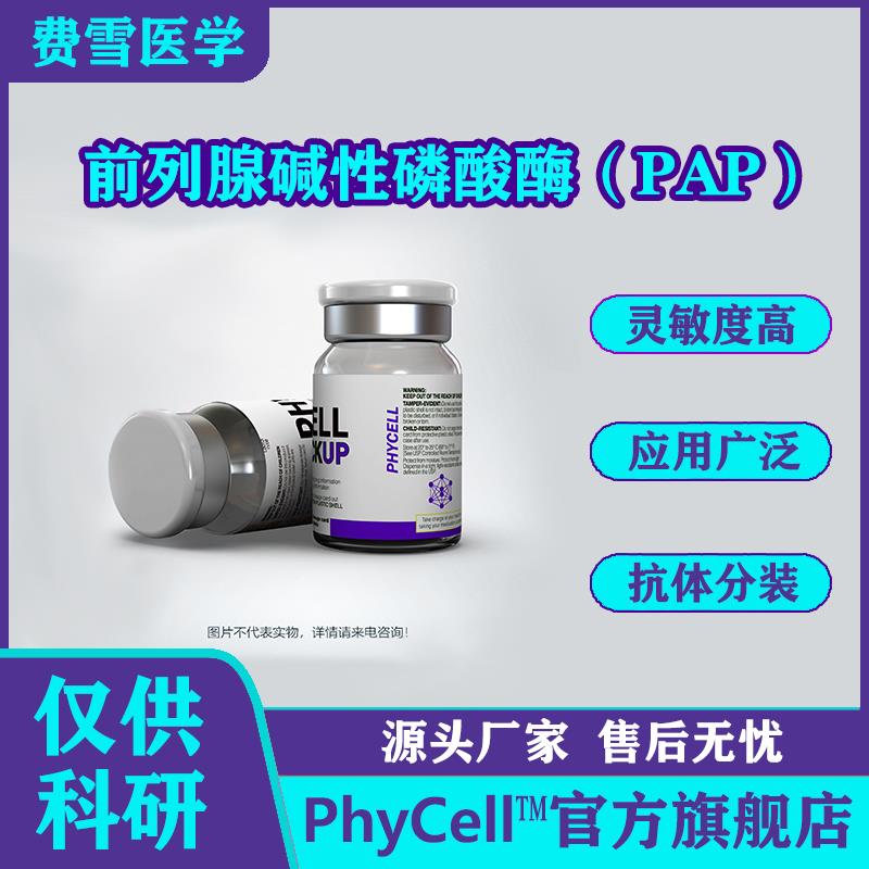 前列腺碱性磷酸酶（PAP）.jpg