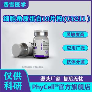 细胞角质蛋白19片段(CY211）