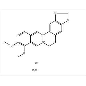 盐酸小檗碱