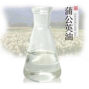 蒲公英油 植物提取单方精油