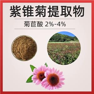 紫锥菊提取物 紫锥菊多酚4% 西安萃源生物供应