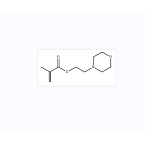 2-甲基-2-丙烯酸2-(4-吗啉基)乙基酯