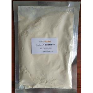 巴西棕榈蜡-药用辅料，符合20版药典，包衣材料和释放阻滞剂，1kg