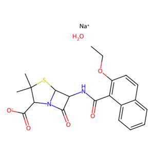 aladdin 阿拉丁 N140025 纳夫西林钠盐一水合物 7177-50-6 98%